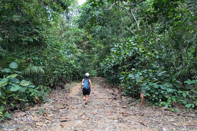 Jungle and Heritage Walk in Singapore - Good To Know