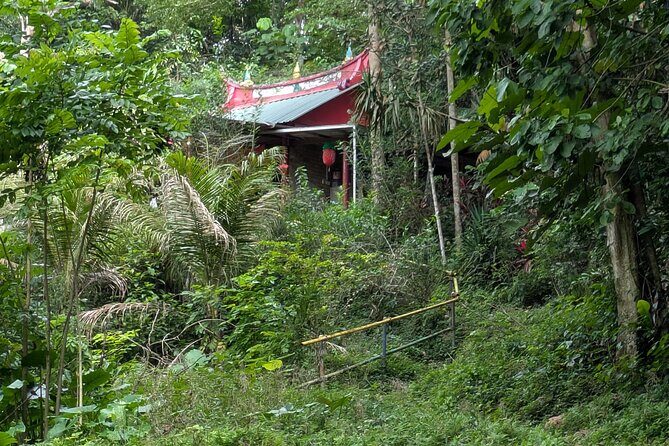 Jungle and Heritage Walk in Singapore - Final Thoughts: Who Should Book This Tour?