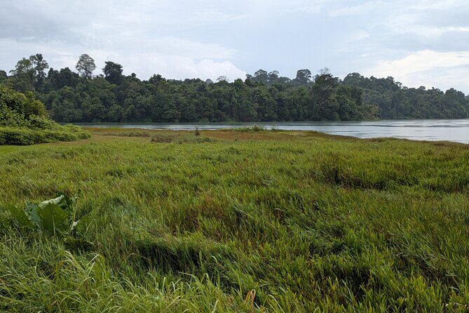 Jungle and Heritage Walk in Singapore - The Sum Up