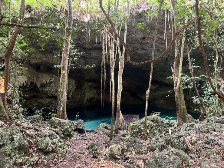 Jungle and Secret Cenote Excursion - Experience Highlights