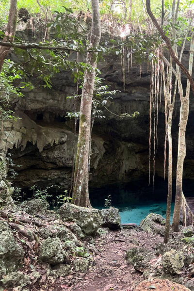 Jungle and Secret Cenote Excursion - Tour Duration and Price