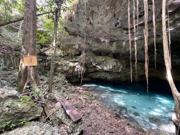 Jungle and Secret Cenote Excursion - Frequently Asked Questions