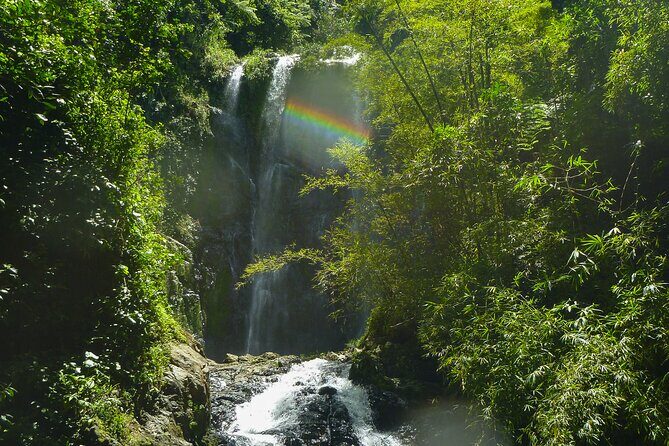 Jungle and Waterfall Adventure - Exploring the Jungle and Waterfall Adventure in Puerto Rico: A Detailed Review