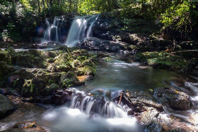 Jungle and Waterfall Adventure - Good To Know