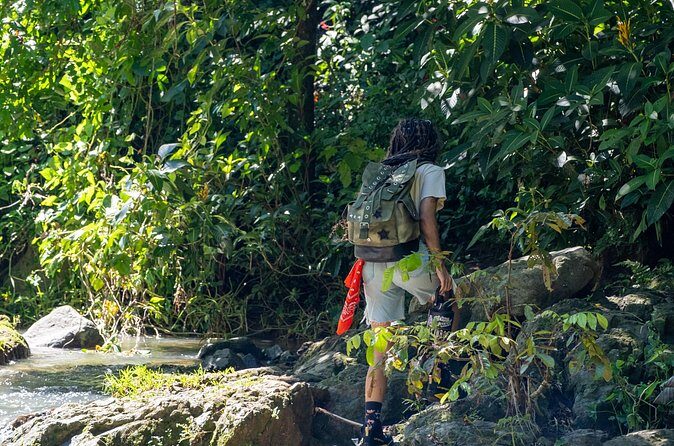 Jungle and Waterfall Adventure - Frequently Asked Questions (FAQs)