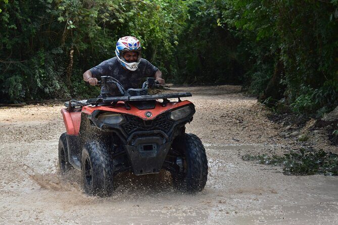 Jungle ATV Adventure Tour with Cenote swim and Zipline activity - What Makes This Tour Stand Out?