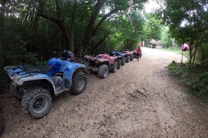 Jungle ATV Adventure: Unveiling Akumal's Enchanting Cenotes - What to Expect from the Jungle ATV Adventure