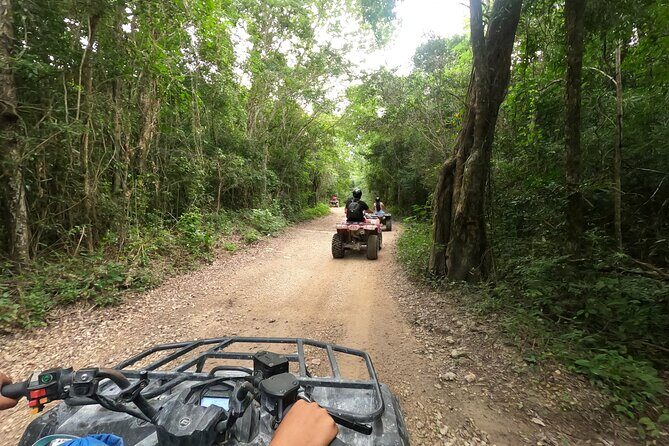 Jungle ATV Adventure: Unveiling Akumal's Enchanting Cenotes - Authenticity and Value: What Reviewers Say