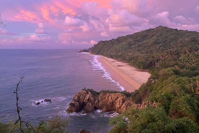 Jungle & Beach: Hidden treasures between the Jungle and the Coast - Exploring the Journey: What to Expect on the Jungle & Beach Tour