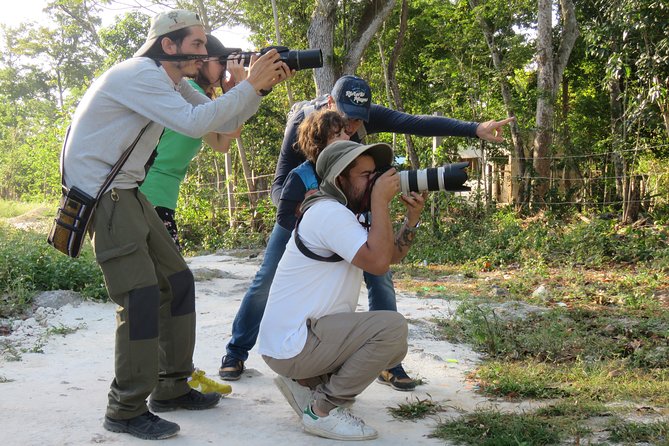 Jungle Birdwatching Experience Through Sian Kaan Biosphere Reserve - Overview of Sian Kaan Biosphere Reserve