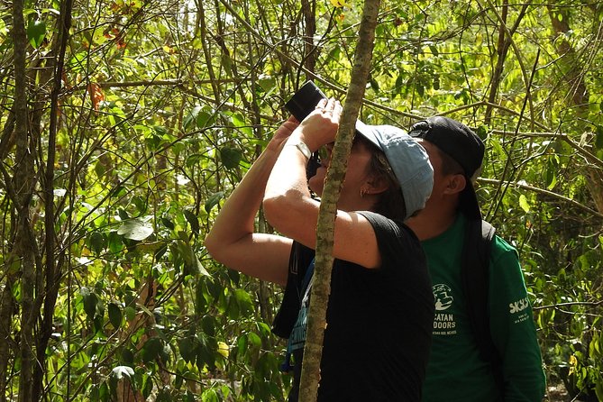 Jungle Birdwatching Experience Through Sian Kaan Biosphere Reserve - Meeting Point and Pickup Information