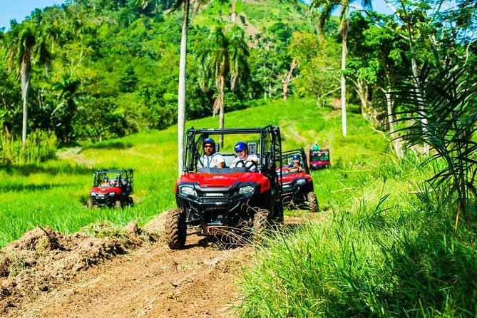 Jungle Buggies and Monkeyland From Punta Cana - Inclusions