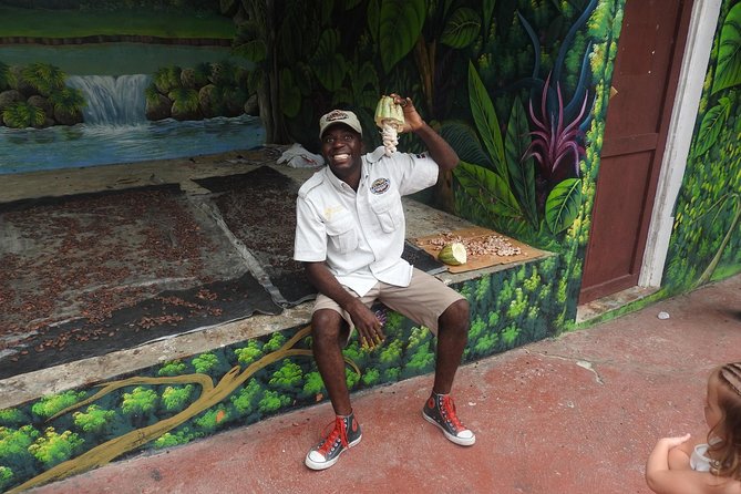 Jungle Buggies and Monkeyland From Punta Cana - Additional Information and Cancellation Policy