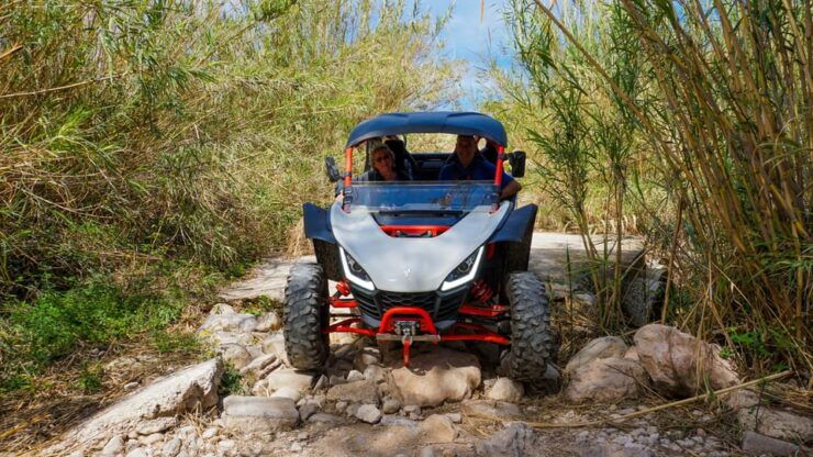 Jungle: Buggy Adventure - Experience Highlights
