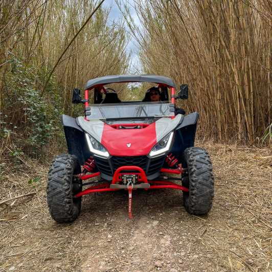 Jungle: Buggy Adventure - Tour Details