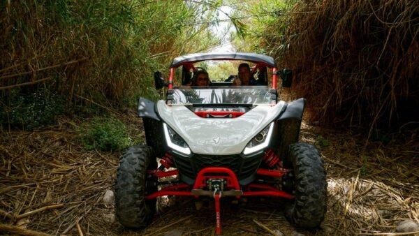 Jungle: Buggy Adventure - Adrenaline-Packed Tour