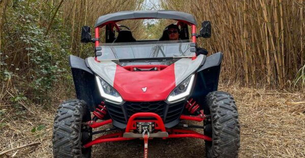 Jungle: Buggy Adventure - The Buggy Adventure Experience