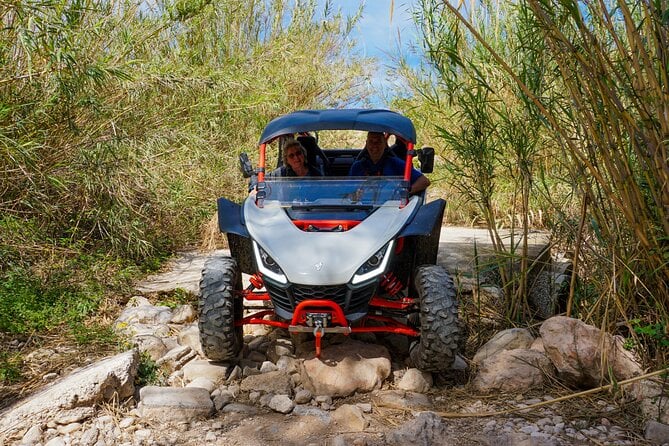 Jungle Buggy Tour at Costa Blanca - Tour Details