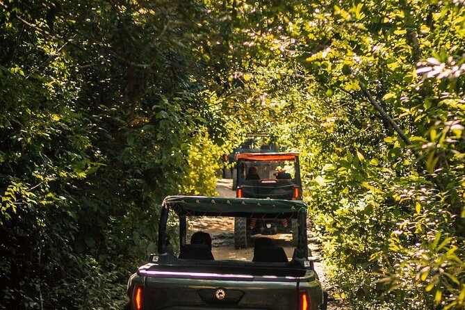 Jungle Buggy Tour Day Tour - Customer Reviews