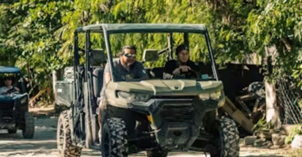 Jungle Buggy Tour - Additional Considerations
