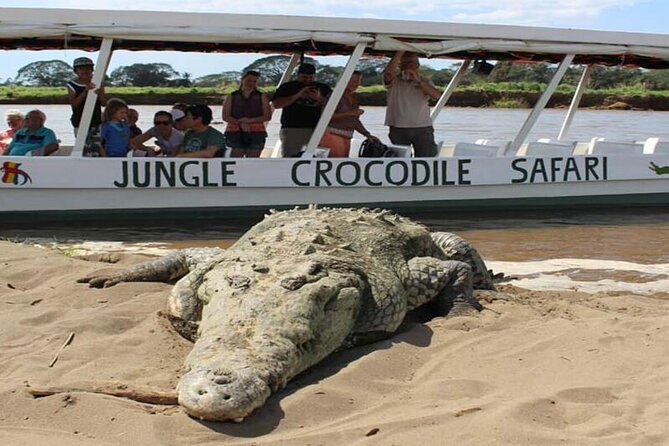 Jungle Crocodile Safari - Punta Arenas Highlights - Tour Details for Jungle Crocodile Safari