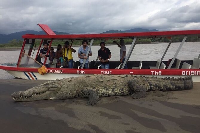 Jungle Crocodile Safari - Punta Arenas Highlights - Customer Feedback on Punta Arenas Experience