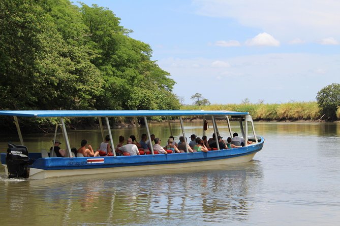 Jungle Cruise at Palo Verde National Park - Tour Highlights