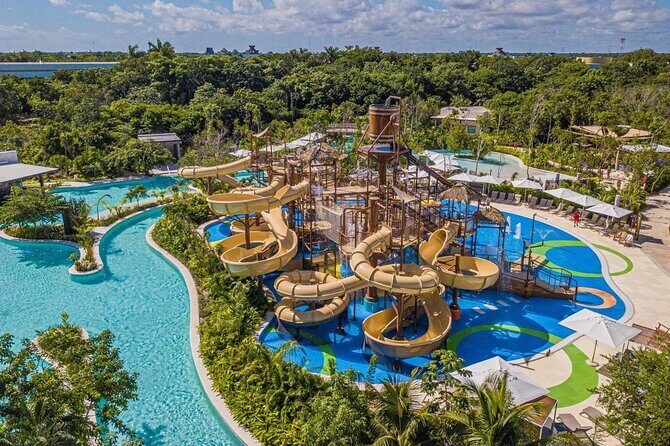 Jungle - What Is Jungle? An Overview of the Experience  