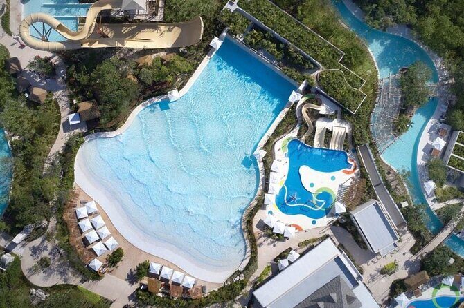 Jungle - What Travelers Can Expect: The Experience from Reviews  