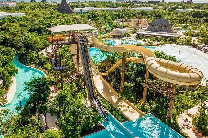 Jungle - How the Price Reflects the Experience  