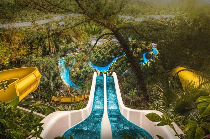 Jungle - Who Will Love Jungle?  