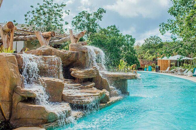 Jungle - Practical Tips for Your Visit  