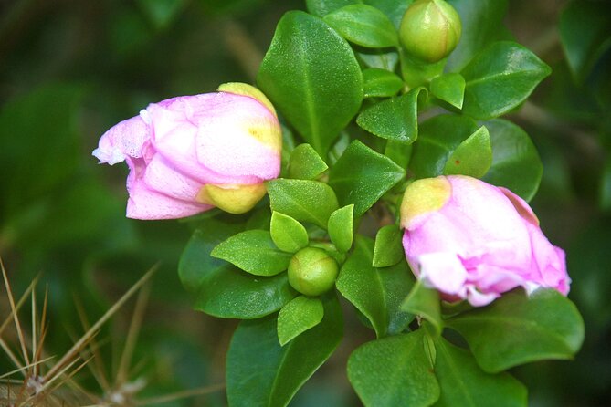 Jungle Eco Tour in Bayahibe - Tour Highlights