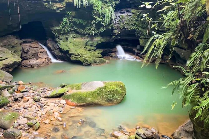 Jungle Escapade: Caverns, Waterfalls and Natural Pools - Highlights of the Jungle Escapade