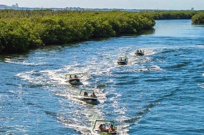 Jungle excursion EN Cancun (NO taxes included) - The Experience: What to Expect