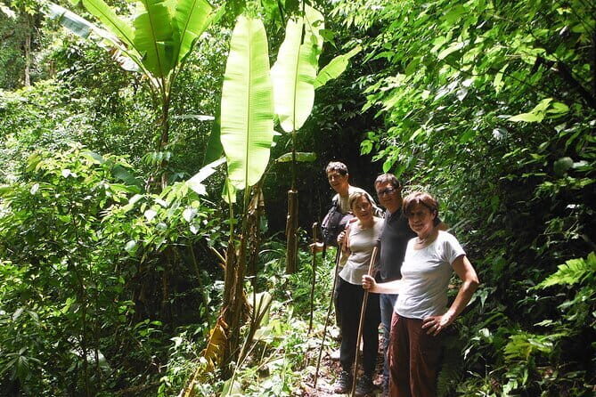 Jungle Experience: 1 Day Trek in Nam Ha NPA - Introduction to the Jungle Trek Experience