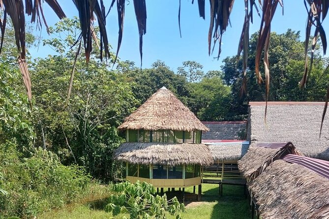 Jungle Explorer Tour 5 Days 4 Nights - Tour Highlights