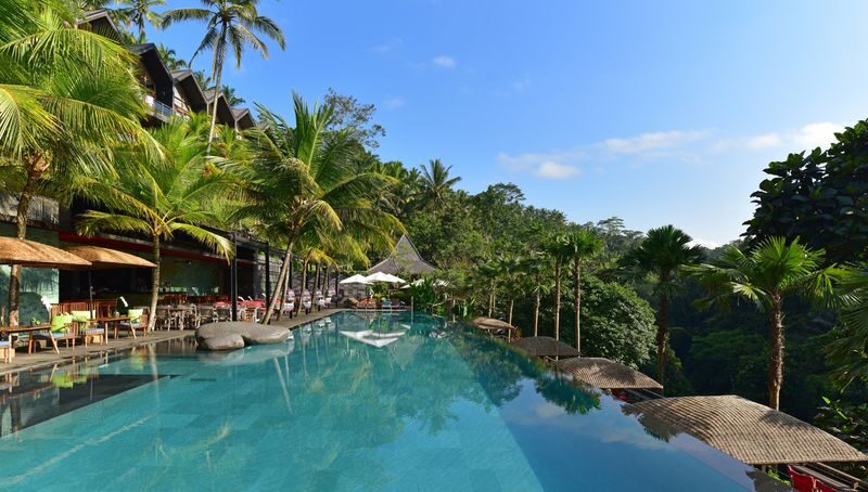 Jungle Fish Pool Bar Day Pass in Ubud - Jungle Fish at a glance