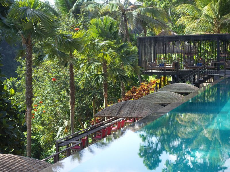 Jungle Fish Pool Bar Day Pass in Ubud - A forest-side pause from Ubud’s busy days
