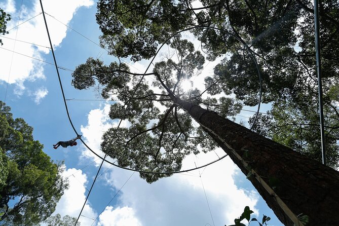 Jungle Flight Zipline Adventure From Chiang Mai - Additional Info and Cancellation Policy