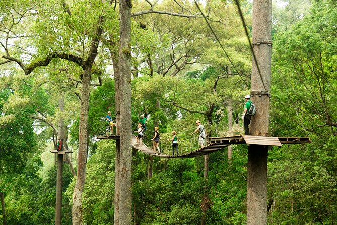 Jungle Flight Zipline Roller Coaster - Safety Guidelines for Participants