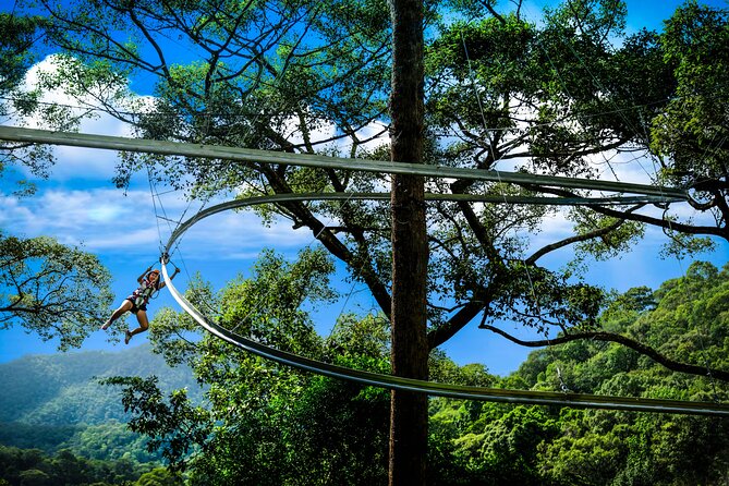Jungle Flight Zipline Roller Coaster - Maximum Weight Limit for the Zipline Roller Coaster