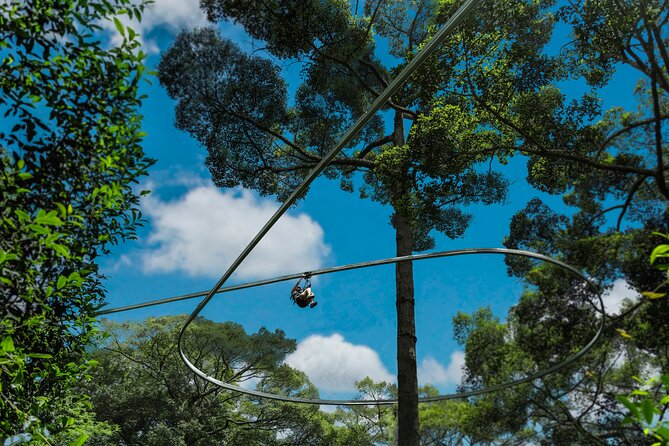 Jungle Flight Zipline Roller Coaster - Traveler Reviews and Ratings