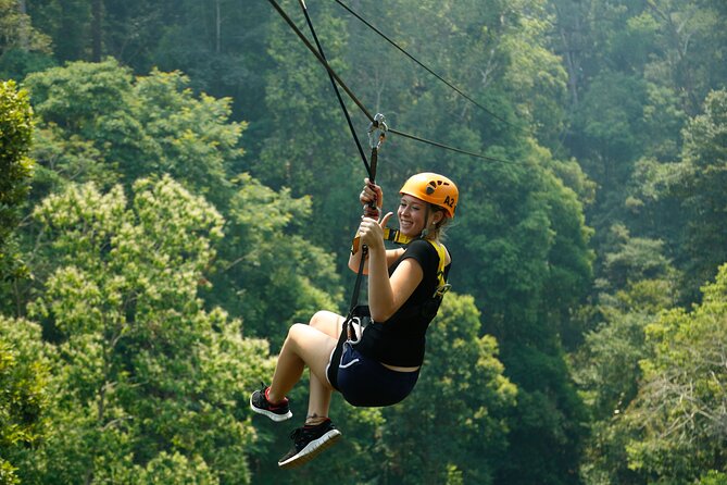Jungle Flight Zipline Roller Coaster - Accessibility Considerations for Wheelchair Users