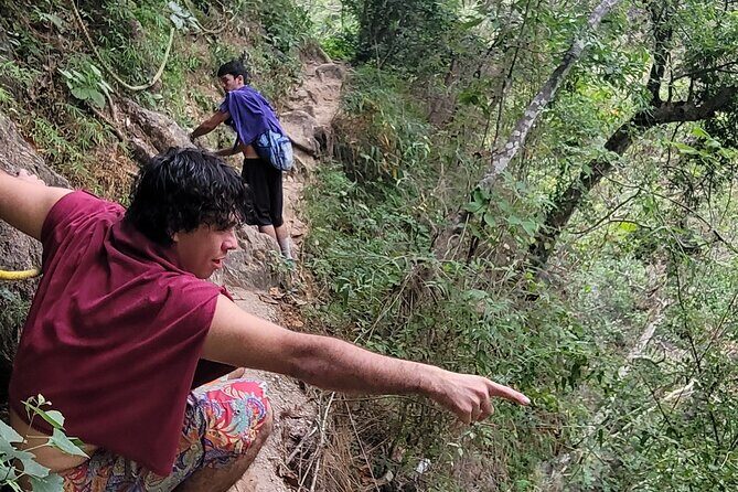 Jungle hike to palo maria Waterfalls - The Sum Up  