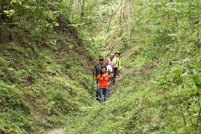 Jungle Hike Tour - What is the Jungle Hike Tour in Bucerias?