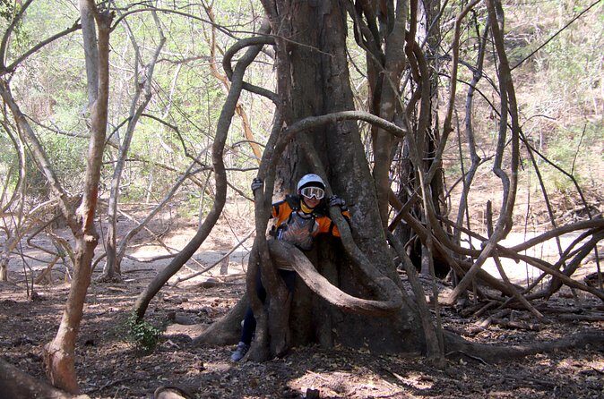 Jungle Hike Tour - What Sets This Tour Apart?