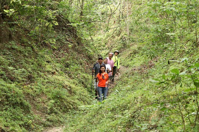 Jungle Hike Tour - Who Should Consider This Tour?