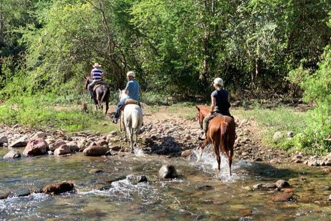 Jungle HorseBack Adventure to Las Palmas Waterfall All Included - The Full Breakdown: What to Expect