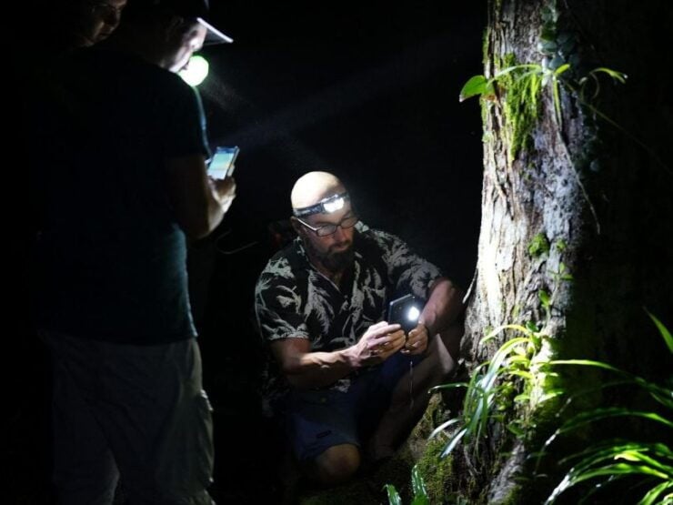 Jungle Night Tour : Finding Snakes and Night Species - Tour Experience Highlights